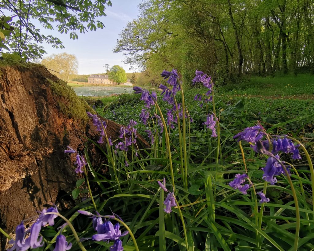 Natural Beauty at Bonnevaux WCCM Poitiers France